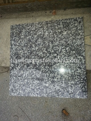 藍冰花荒料產(chǎn)品介紹 - 湖南天華石材優(yōu)質花崗巖